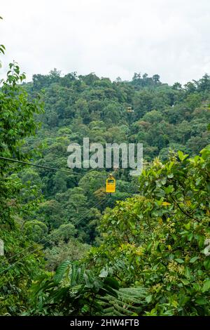 Vista ad angolo alto della riserva forestale Nambillo, vicino a San Carlos, Pinchincha, Ecuador in una giornata colta. Foto Stock