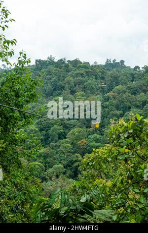 Vista ad angolo alto della riserva forestale Nambillo, vicino a San Carlos, Pinchincha, Ecuador in una giornata colta. Foto Stock