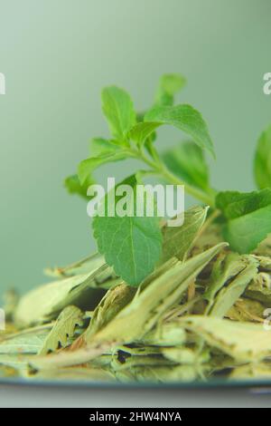 Il ramoscello verde fresco della stevia e lo stevia secco lasciano da vicino in una tazza rotonda di dolcificante naturale organico. Foto Stock