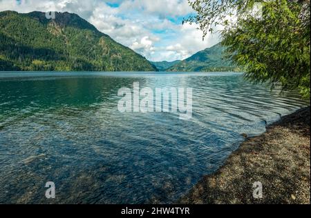 La costa del lago Crescent nell'Olympic National Park di Washington, USA Foto Stock