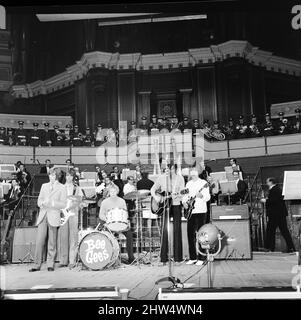 The Bee Gees il cui primo tour nel Regno Unito apre alla Royal Albert Hall, Londra, 27th marzo 1968. Saranno accompagnati da un'orchestra sinfonica di 67 pezzi, un coro hugh e la RAF Appprendisti Marching Band. In background: Bill Shepherd dirige l'orchestra Foto Stock