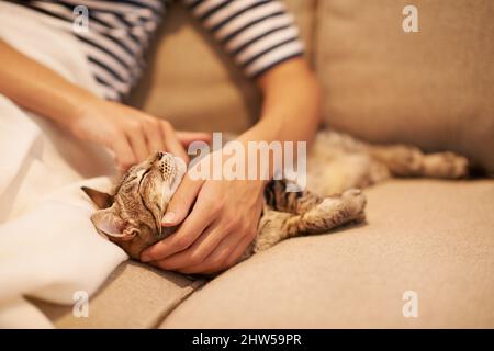 Il mio piccolo furball. Una giovane donna seduta a casa con il suo gatto. Foto Stock