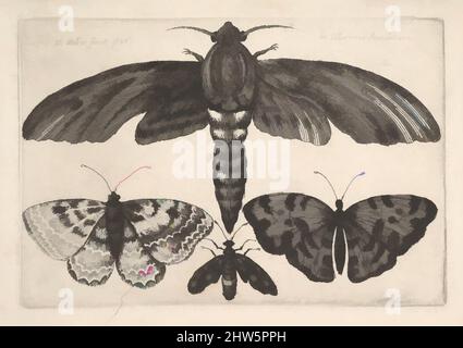 Arte ispirata da Moth andt tre farfalle, 1646, attacco chimico; primo stato di tre, piastra: 3 1/8 x 4 9/16 poll. (8 x 11,6 cm), stampe, Venceslao Hollar (Bohemian, Praga 1607–1677 Londra, opere classiche modernizzate da Artotop con un tuffo di modernità. Forme, colore e valore, impatto visivo accattivante sulle emozioni artistiche attraverso la libertà delle opere d'arte in modo contemporaneo. Un messaggio senza tempo che persegue una nuova direzione selvaggiamente creativa. Artisti che si rivolgono al supporto digitale e creano l'NFT Artotop Foto Stock