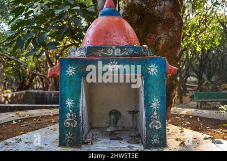 Amboli Forest Park, Maharashtra, India. Foto Stock
