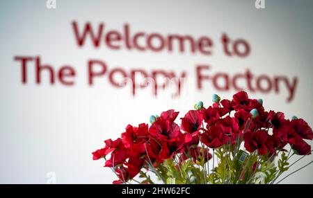 La fabbrica di Poppy a Richmond, nel sud-ovest di Londra, che celebrerà il suo centenario per tutto il 2022. Data foto: Mercoledì 2 marzo 2022. Foto Stock