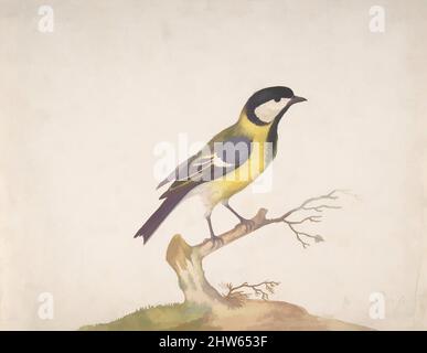 Arte ispirata a Un grande titmouse (Parus Major) arroccato su una filiale, 1670–93, acquerello, bodycolor, foglio: 9 1/4 x 7 3/8 pollici (23,5 x 18,8 cm), disegni, Pieter Withoos (olandese, 1654–1693, opere classiche modernizzate da Artotop con un tuffo di modernità. Forme, colore e valore, impatto visivo accattivante sulle emozioni artistiche attraverso la libertà delle opere d'arte in modo contemporaneo. Un messaggio senza tempo che persegue una nuova direzione selvaggiamente creativa. Artisti che si rivolgono al supporto digitale e creano l'NFT Artotop Foto Stock