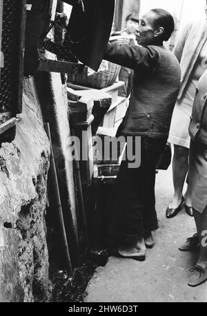 Vita nel 1960s coloniale Hong Kong, con una popolazione in rapida crescita di oltre 4 milioni di persone, molti sono costretti a vivere in baraccopoli e baraccopoli, nella foto di gennaio 1968. La nostra immagine mostra ... donna anziana in strada. Foto Stock