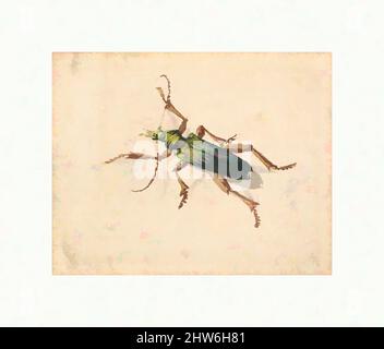 Arte ispirata a Green Beetle con gambe marroni, fine 17th-inizio 18th secolo, acquerello, dimensioni varie, disegni, Jan Vincentsz van der Vinne (olandese, Haarlem 1663–1721 Haarlem, opere classiche modernizzate da Artotop con un tuffo di modernità. Forme, colore e valore, impatto visivo accattivante sulle emozioni artistiche attraverso la libertà delle opere d'arte in modo contemporaneo. Un messaggio senza tempo che persegue una nuova direzione selvaggiamente creativa. Artisti che si rivolgono al supporto digitale e creano l'NFT Artotop Foto Stock