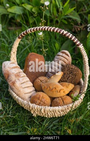 Assorti di gustoso pane fresco e bianco fatto in casa con i semi in cesto di vimini in piedi sul verde erba. Foto di alta qualità Foto Stock