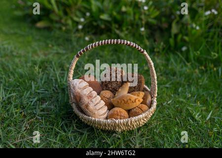 Assorti di gustoso pane fresco e bianco fatto in casa con i semi in cesto di vimini in piedi sul verde erba. Foto di alta qualità Foto Stock