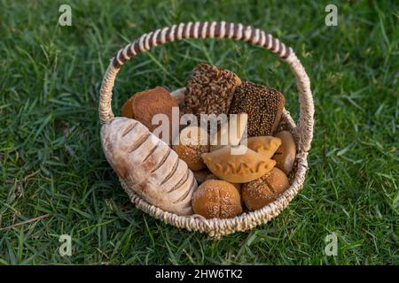 Assorti di gustoso pane fresco e bianco fatto in casa con i semi in cesto di vimini in piedi sul verde erba. Foto di alta qualità Foto Stock