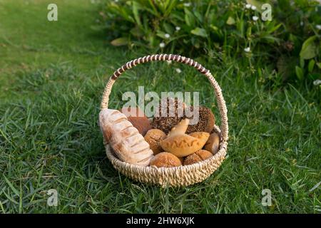 Assorti di gustoso pane fresco e bianco fatto in casa con i semi in cesto di vimini in piedi sul verde erba. Foto di alta qualità Foto Stock