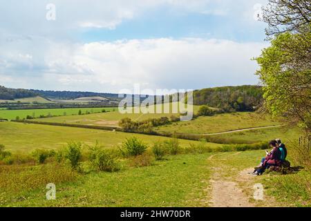 Persone sedute su una panchina in un punto di vista sulle Chiltern Hills a Bradenham, Buckinghamshire, Inghilterra, Regno Unito Foto Stock