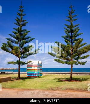 Fremantle, WA, Australia - bagni di capanne e alberi di pino Norfolk sulla spiaggia di bagnanti Foto Stock