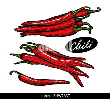 Peperoncini rossi con gambo verde. Illustrazione del vettore delle spezie alimentari Illustrazione Vettoriale