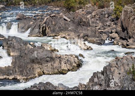Virginia. Grandi cascate del Potomac. Terzo punto di vista. Foto Stock