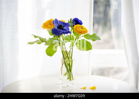 Bouquet di fiori freschi con ranuncolo blu e giallo su un tavolo bianco accanto ad una finestra con tende luminose, posto come simbolo dell'Ucraina in cohes Foto Stock