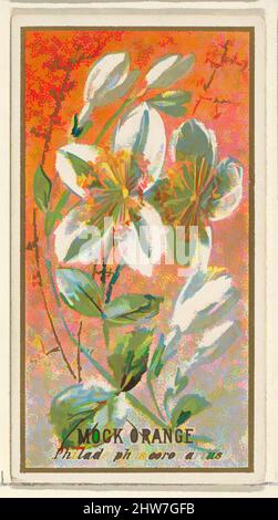 Arte ispirata a Mock Orange (Philadelphus coronarius), dalla serie Fiori per sigarette Old Judge, 1890, litografia commerciale a colori, foglio: 2 3/4 x 1 1/2 pollici. (7 x 3,8 cm), la serie 'Flowers' di carte commerciali (N164) è stata emessa da Goodwin & Company nel 1890 per promuovere Old Judge, opere classiche modernizzate da Artotop con un tuffo di modernità. Forme, colore e valore, impatto visivo accattivante sulle emozioni artistiche attraverso la libertà delle opere d'arte in modo contemporaneo. Un messaggio senza tempo che persegue una nuova direzione selvaggiamente creativa. Artisti che si rivolgono al supporto digitale e creano l'NFT Artotop Foto Stock