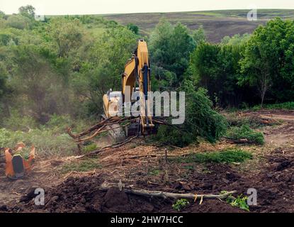 Escavatore giallo con bucket che schiarisce la vegetazione in una regione rurale in Bulgaria in estate giorno di sole Foto Stock