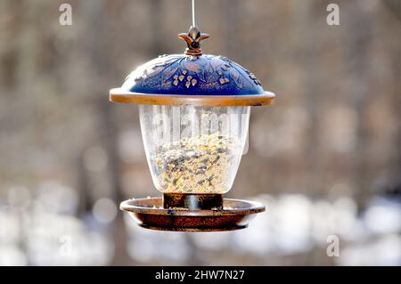 Alimentatore per uccelli in plastica riempito con semi di girasole neri e altri semi di uccelli Foto Stock