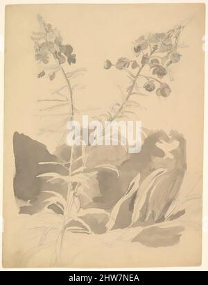 Art Inspired by Study of a Willowherb; verso: Studio di due mucche, 1858 (?), grafite, pennello e inchiostro grigio; verso: Grafite, foglio: 7 1/16 x 5 3/8 in. (18 x 13,7 cm), disegni, Carl Gustav Carus (tedesco, Lipsia 1789–1869 Dresda, opere classiche modernizzate da Artotop con un tocco di modernità. Forme, colore e valore, impatto visivo accattivante sulle emozioni artistiche attraverso la libertà delle opere d'arte in modo contemporaneo. Un messaggio senza tempo che persegue una nuova direzione selvaggiamente creativa. Artisti che si rivolgono al supporto digitale e creano l'NFT Artotop Foto Stock