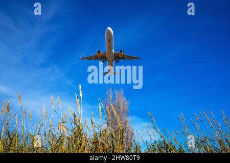 Un aereo è visto volare sopra il Baix Llobregat Agrarian Park. Il progetto di espandere una delle piste dell'aeroporto Josep Tarradellas, popolarmente Foto Stock