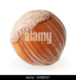 Nocciola isolata su sfondo bianco con percorso di ritaglio Foto Stock