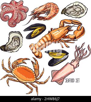 set di diversi animali marini. Illustrazione disegnata a mano Illustrazione Vettoriale