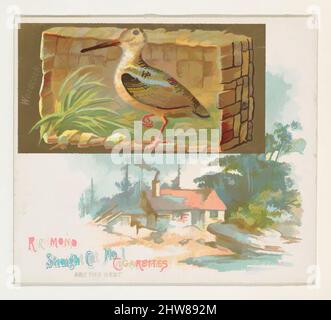 Art Inspired by Woodcock, della serie Game Birds (N40) per sigarette Allen & Ginter, 1888–90, litografia commerciale a colori, foglio: 2 7/8 x 3 1/4 poll. (7,3 x 8,3 cm), carte commerciali della serie 'Game Birds' (N40), emesse nel 1888-90 in un set di 50 carte per promuovere Allen & Ginter, opere classiche modernizzate da Artotop con un tuffo di modernità. Forme, colore e valore, impatto visivo accattivante sulle emozioni artistiche attraverso la libertà delle opere d'arte in modo contemporaneo. Un messaggio senza tempo che persegue una nuova direzione selvaggiamente creativa. Artisti che si rivolgono al supporto digitale e creano l'NFT Artotop Foto Stock