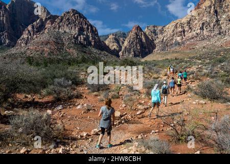 Il Red Rock Canyon, Nevada. Gli escursionisti su Pine Creek Canyon Trail. Mescalito Montagna (con parte superiore rossa) al centro dello sfondo. Foto Stock