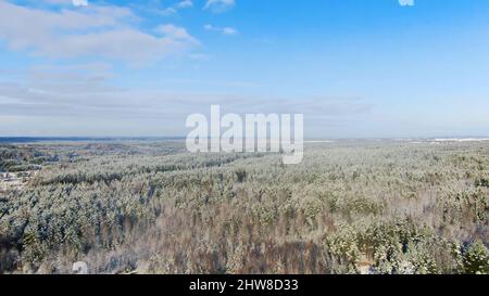 Sorvolando alberi di abete bianco ricoperti di neve fresca nella soleggiata giornata invernale. Movimento. Foresta mista dopo nevicando in inverno sbalorditivo. Inverno nevoso profondo per Foto Stock