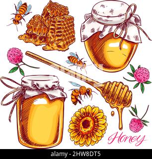 Carino miele set. Giare di miele, api, nido d'ape. Illustrazione disegnata a mano Illustrazione Vettoriale