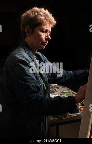 Artista (Fiona Kelly) che lavora su Canvas Foto Stock