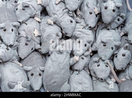 Mazzo di ratti peluche grigi in un negozio di giocattoli. Bei topi. Foto Stock