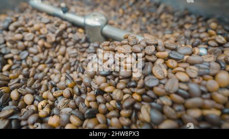 Primo piano dei chicchi di caffè mescolati e tostati. Azione. La macchina speciale mescola i chicchi di caffè per la lavorazione termica. Tostatura del caffè in macchina. Foto Stock