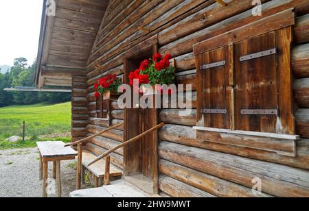 Una cabina rustica in legno con gerani sul davanzale delle Alpi tedesche (regione di Fuessen, Baviera, Germania) Foto Stock