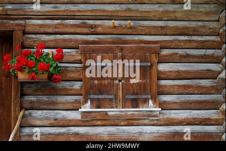 Una cabina rustica in legno con gerani sul davanzale delle Alpi tedesche (regione di Fuessen, Baviera, Germania) Foto Stock