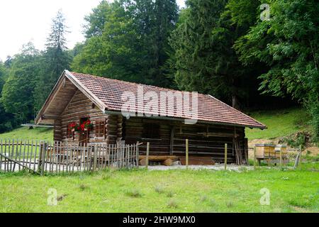 Una cabina rustica in legno con gerani sul davanzale delle Alpi tedesche (regione di Fuessen, Baviera, Germania) Foto Stock