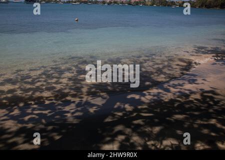 Prickly Bay Grenada l'anse Aux Epines Beach Shadow of Tree Foto Stock