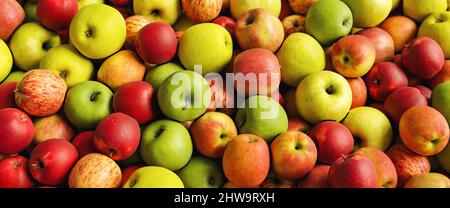 Mele deliziose al mercato degli agricoltori come sfondo, dimensione banner Foto Stock