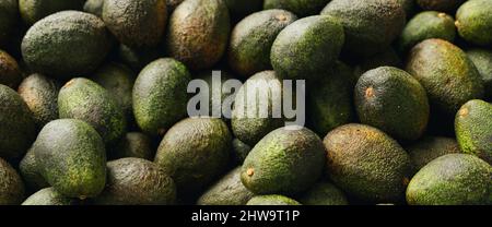 Un mucchio grande di avocado maturi interi. Primo piano, vista dall'alto. Foto Stock