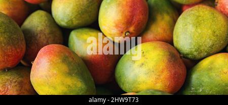 Un sacco di manti colorati maturi in un mucchio come sfondo Foto Stock