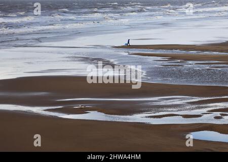 Camminando il cane sulla spiaggia di Blackpool Foto Stock