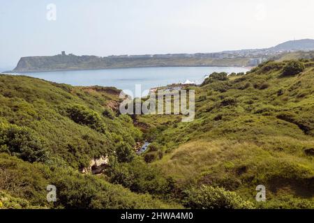 Indicazione per il sentiero di Cleveland Way a nord di Scarborough Foto Stock