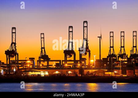 Gru presso il terminal dei container al tramonto, nel porto di Amburgo, Germania, Amburgo Foto Stock