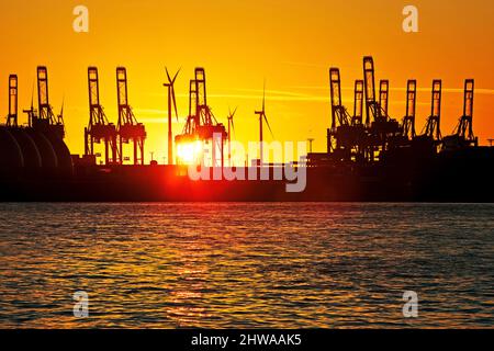 Gru presso il terminal dei container al tramonto, nel porto di Amburgo, Germania, Amburgo Foto Stock