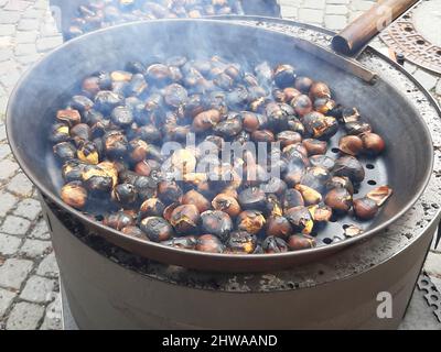 Castagno spagnolo, castagno dolce (Castanea sativa), castagne arrostite in padella, Italia, Alto Adige Foto Stock