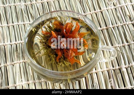 Tè fiori in una tazza di tè, fiori fiore tè, tè verde dolce Osmanthus Foto Stock