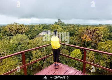 Si affaccia sulla giungla dalla Piramide del mondo perduto, il Parco Nazionale Tikal, Petén, Guatemala Foto Stock