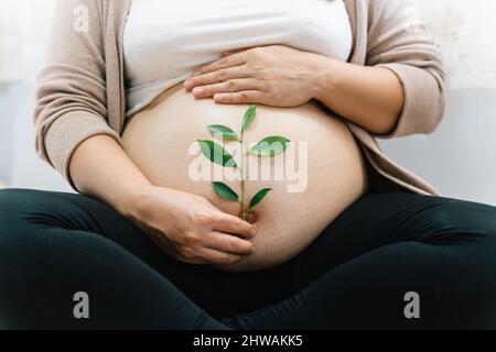Una donna incinta tiene verde pianta di germoglio vicino al suo ventre come simbolo di nuova vita, madre, benessere, fertilità, nascituro salute del bambino. Concetto di gravidanza, m Foto Stock